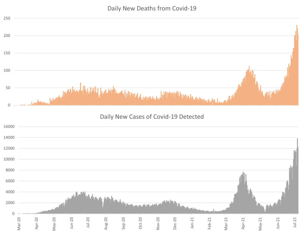 Covid Update