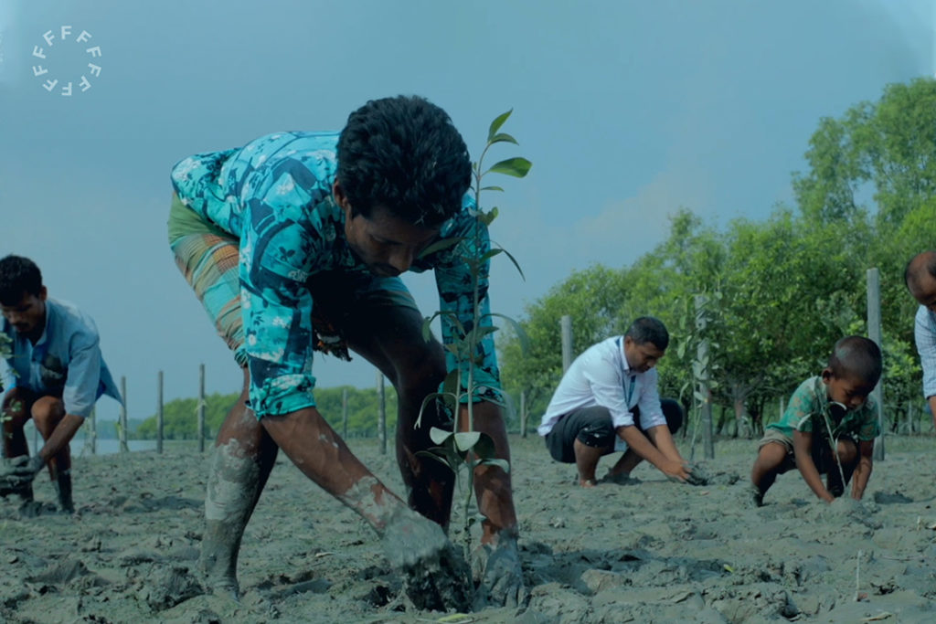 Villagers planting mangrove saplings