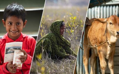 One Sustainable Health for All; Combining Human, Animal and Environmental Health