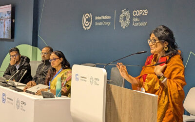 Caution and Rising Above ‘Youth washing’ at COP29