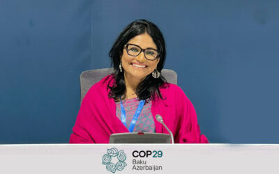 Caution and Rising Above ‘Youth washing’ at COP29