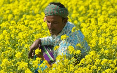 The Power of Simplicity: Communicating Climate for All