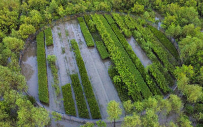 THE EARTHSHOT PRIZE ANNOUNCES FRIENDSHIP NGO AS A 2025 FINALIST
