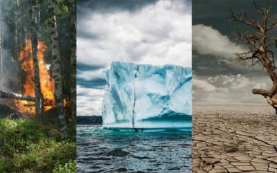 If COP30 goes nowhere, where do we go?