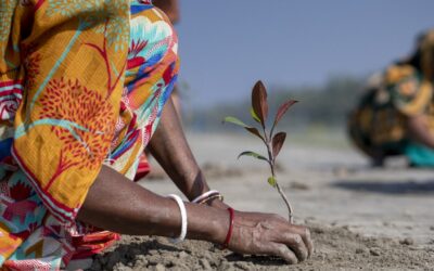 Integrated, holistic, locally-led and nature-based Climate adaptation solutions are the proven means in effective, sustainable development