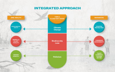 One Planet, One Idea: One Sustainable Health for All