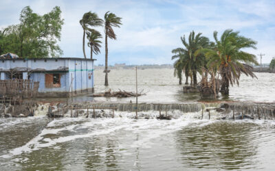 When Truth Competes for Attention