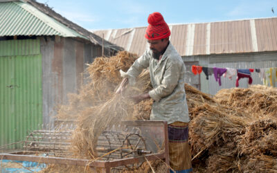 Sowing the Seeds of Prosperity