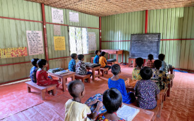Beyond Sectors: Why Integrated Development Is the Future of Resilience