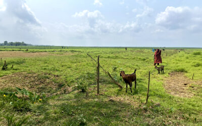 The Nexus between Climate, Agriculture, Health and Poverty (Part 2)