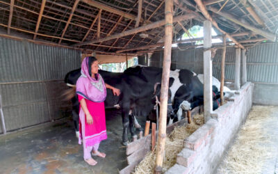 Building a Micro-Economy in her Own Backyard